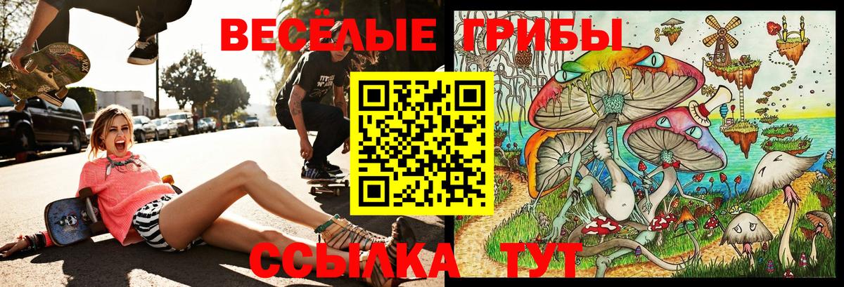 Галлюциногенные грибы Psilocybine cubensis  Вход с VPN  Нальчик  Галлюциногенные грибы Magic Shrooms 