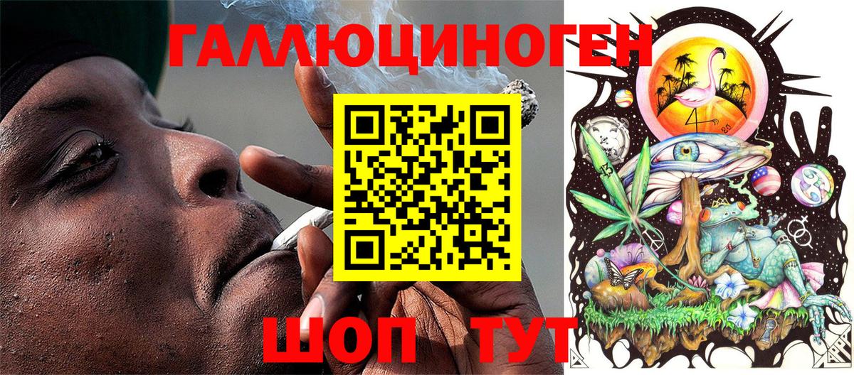Галлюциногенные грибы MAGIC MUSHROOMS Нальчик
