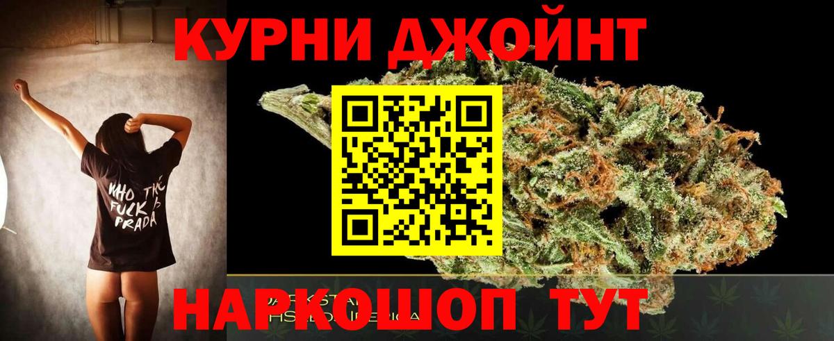 Марихуана сатива Нальчик